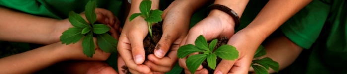 kids-hands-holding-plants1